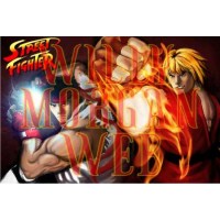 Street Fighter